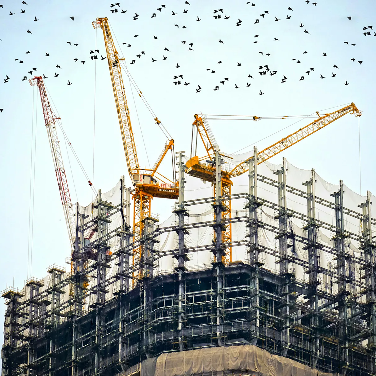 Construction